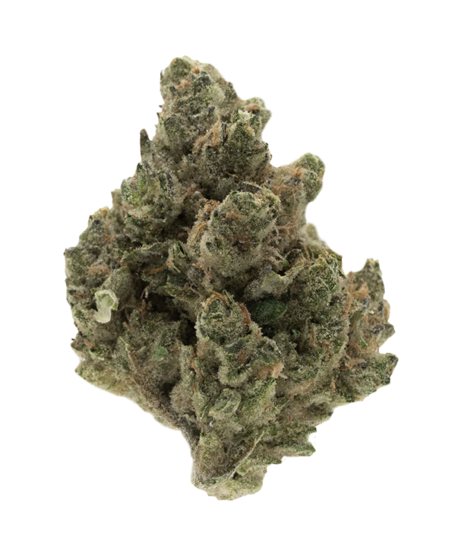 Banana Puddintain Mojave Flower